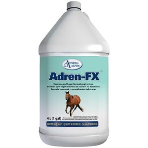 Adren-FX - 4 litres