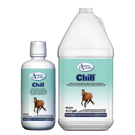 Chill-Group