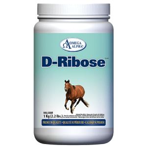 D-Ribose - 1 kilogram