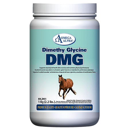 DMG-1kg-450x450