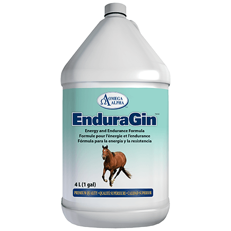 ENDURAGIN-4L-450x450