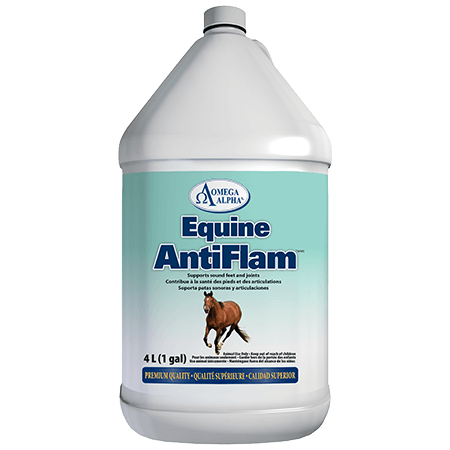 EQ-ANTIFLAM-4L-450x450