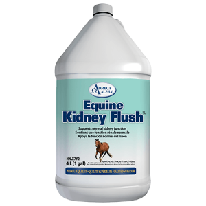 Equine Kidney Flush - 4 litres