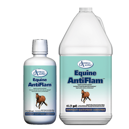 Eq-Antiflam-Group