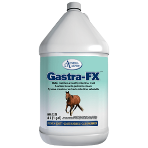 Gastra-FX - 4 litres