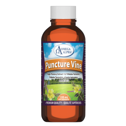 Puncture-Vine-120ml-2000x2000