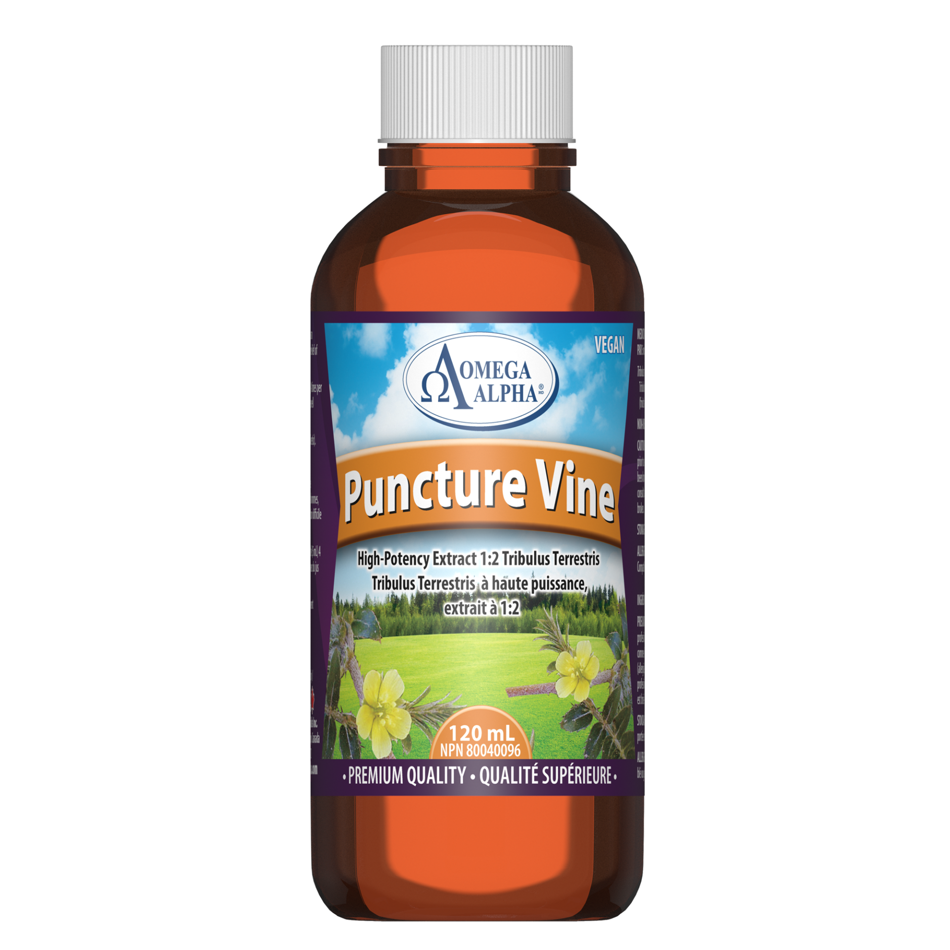 Puncture Vine