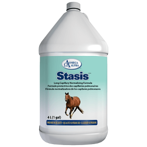Stasis - 4 litres