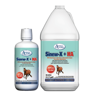 Sinew-X + HA