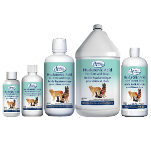 Hyaluronic Acid For Cats and Dogs