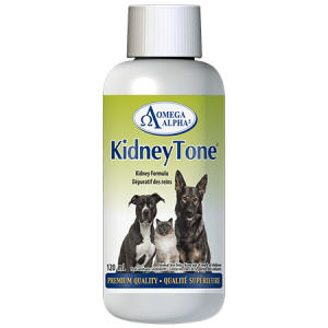 KIDNEYTONE-120-ML-BOTTLE