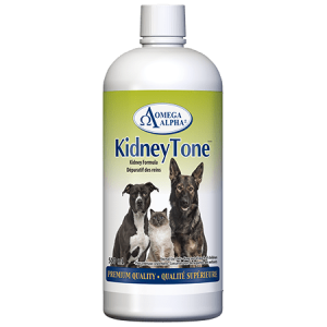 KidneyTone - 500 millilitres