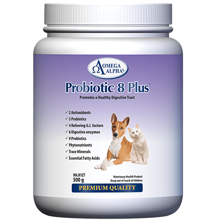 Probiotic 8 Plus Omega Alpha Store CA