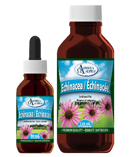 Echinacea-Adult-Group