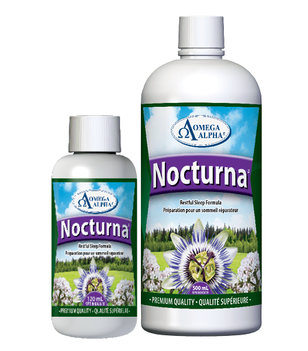 Nocturna-Group