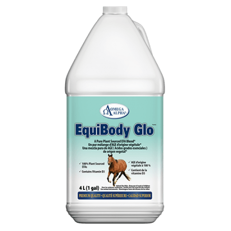 EQUIBODY-4L
