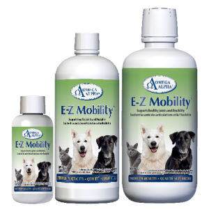 E-Z Mobility