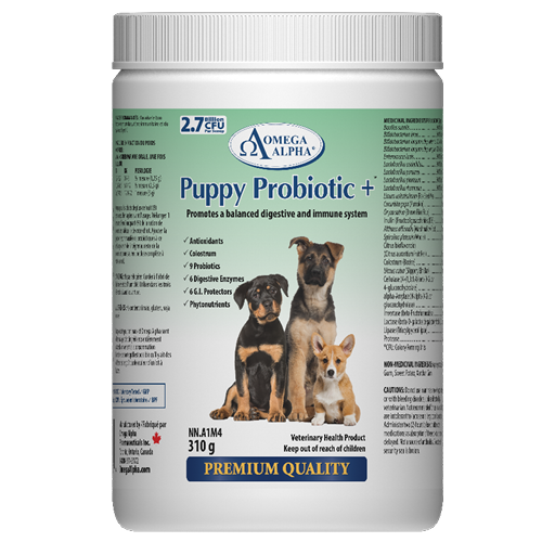Puppy-Probiotic+-310g