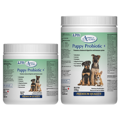 Puppy Porbiotics+